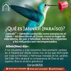 Qué es Jannah (Paraíso)?