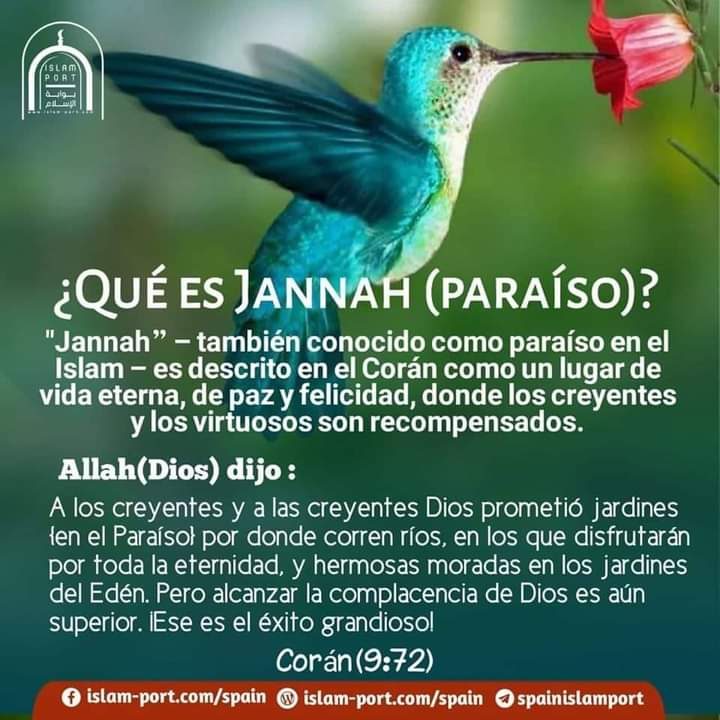 Qué es Jannah (Paraíso)?