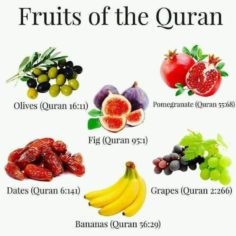 Fruits of the Quran.